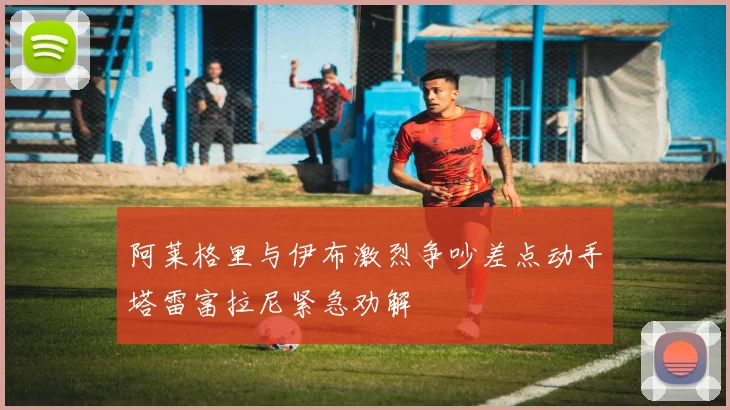 阿莱格里与伊布激烈争吵差点动手塔雷富拉尼紧急劝解
