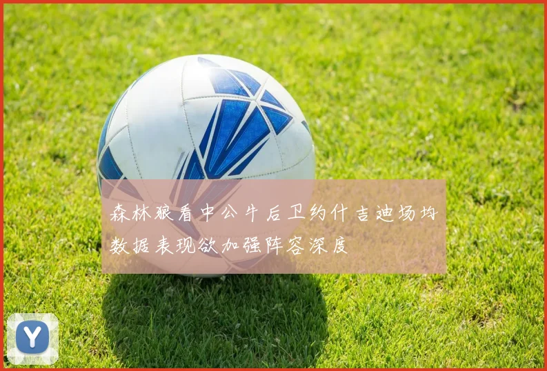 森林狼看中公牛后卫约什吉迪场均数据表现欲加强阵容深度